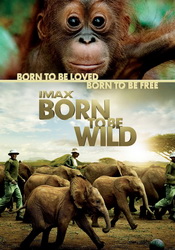 small poster image