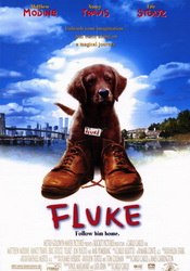 small poster image