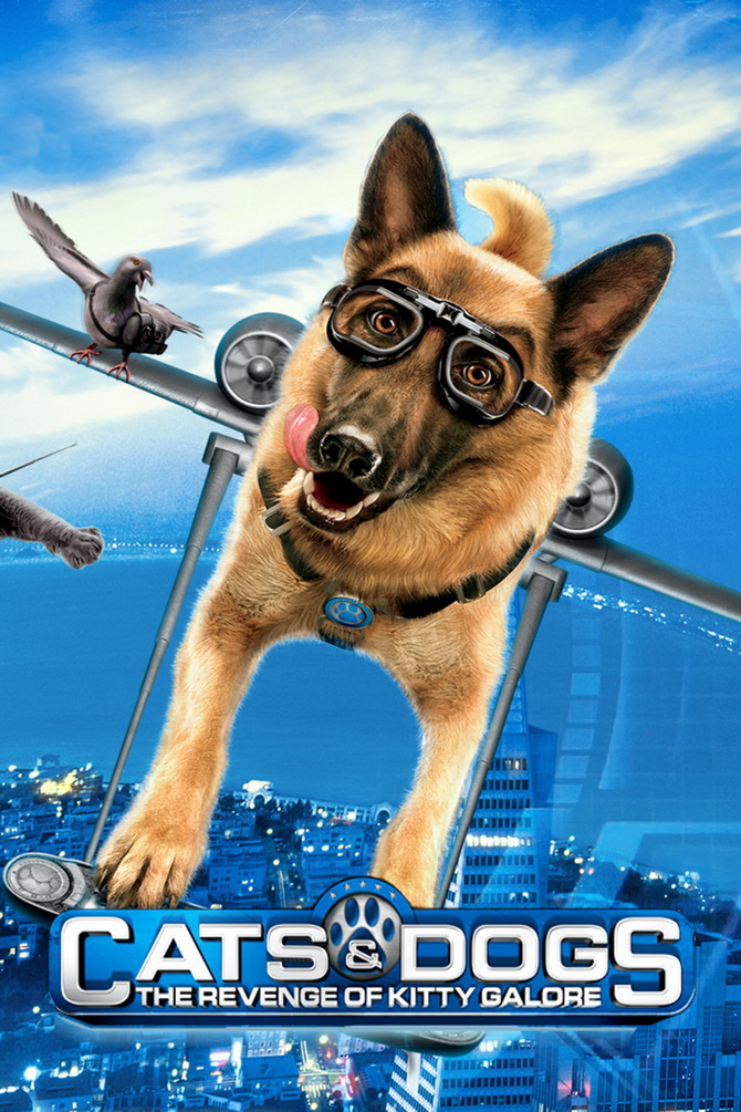 poster image
