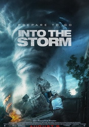 small poster image
