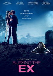 small poster image