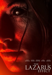 small poster image