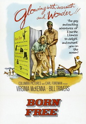 small poster image