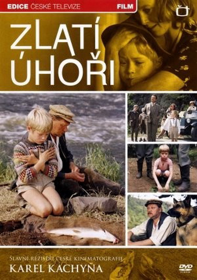poster image