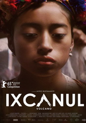 small poster image