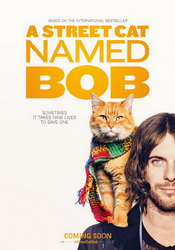 small poster image