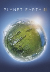 small poster image
