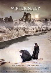 small poster image