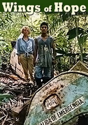 small poster image