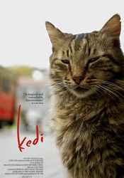 small poster image