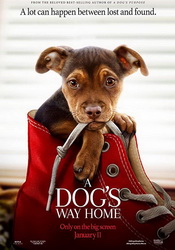 small poster image