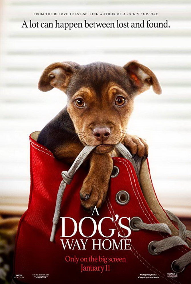 poster image