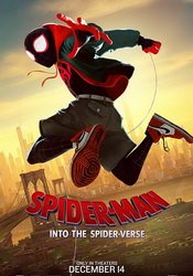 small poster image