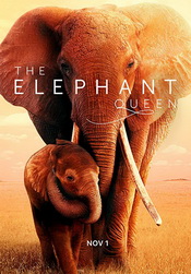 small poster image