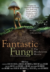 small poster image