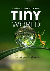 small poster image