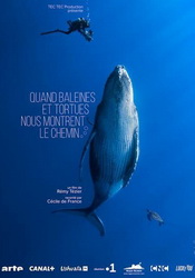 small poster image