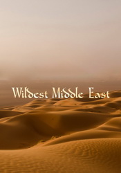small poster image
