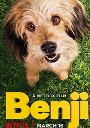 small poster image