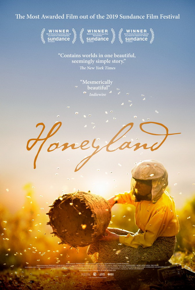 poster image