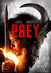 small poster image