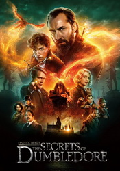 small poster image