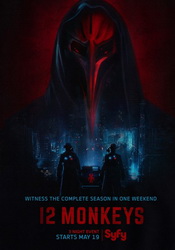 small poster image