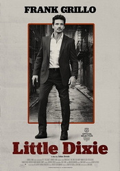 small poster image