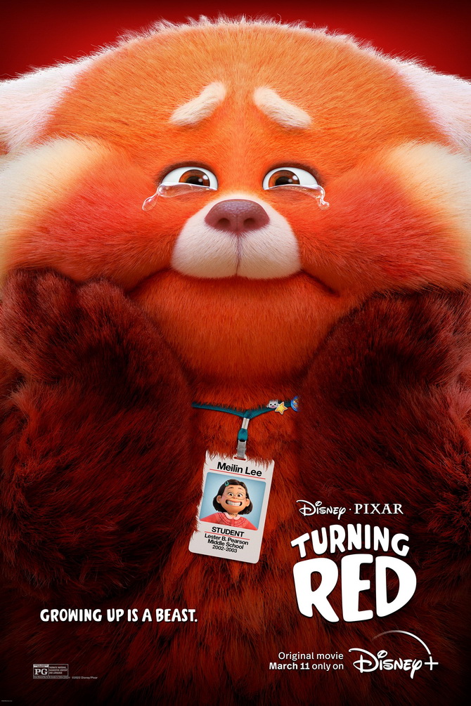 poster image