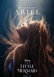 small poster image