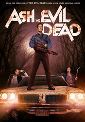 small poster image