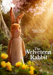 small poster image