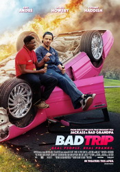small poster image