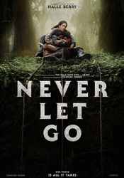 small poster image