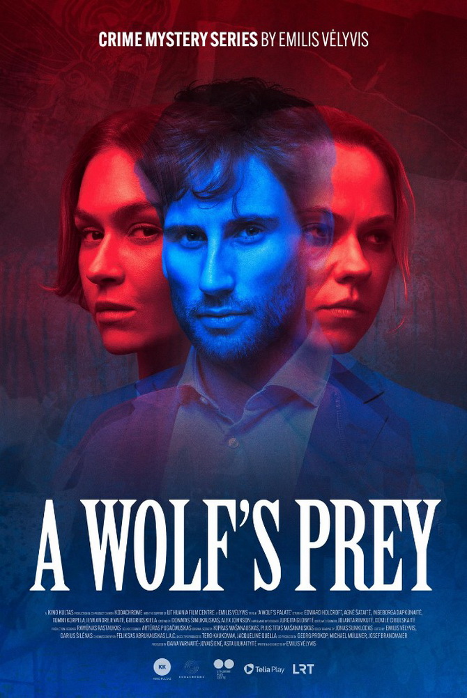 poster image