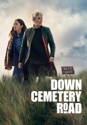 small poster image