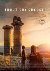 small poster image