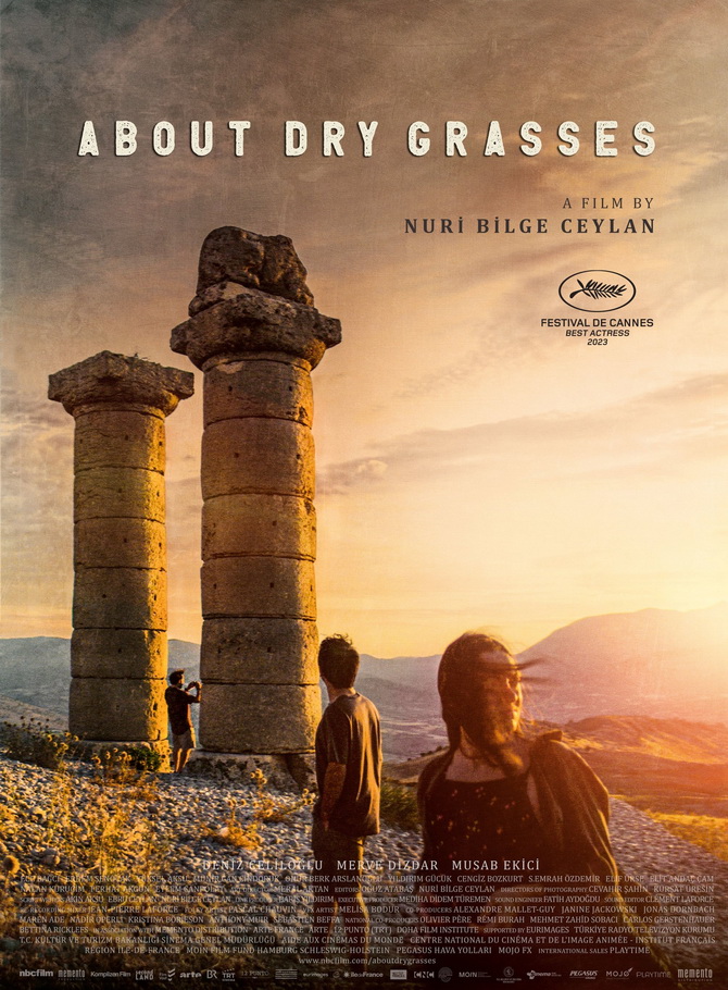 poster image