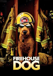 small poster image