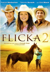 small poster image