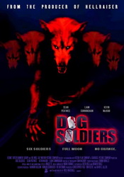 small poster image