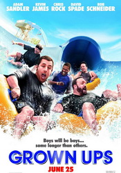 small poster image